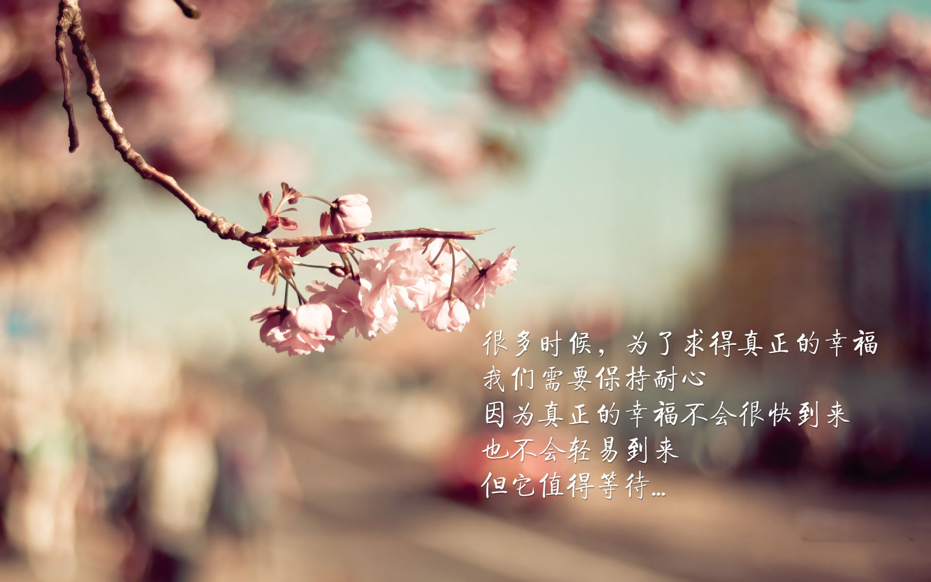 青少年“篮球+文艺”融合系列展在北京引领新潮流，青少年篮球职业联赛