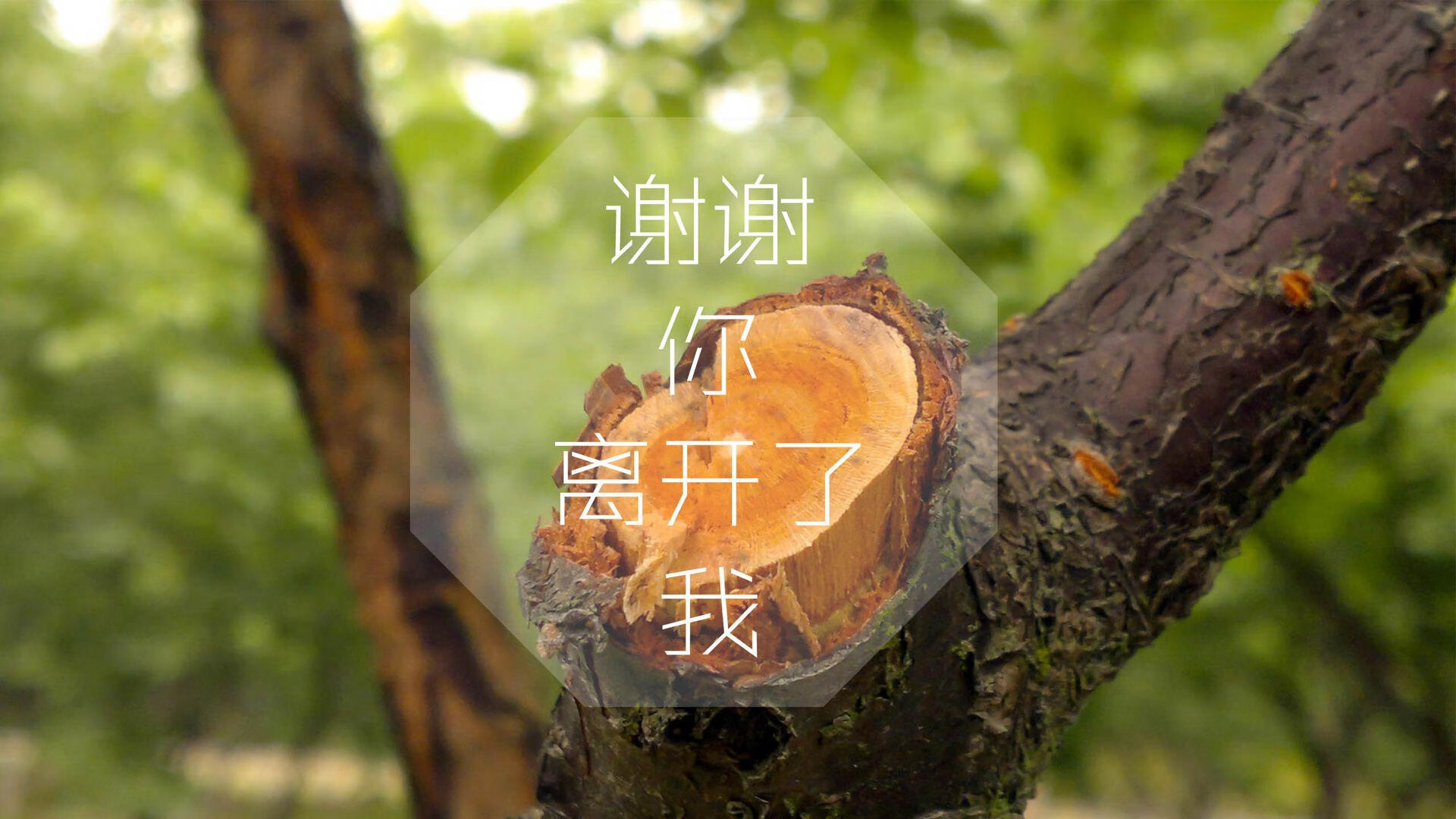 曼联击败利物浦，英超焦点战中B费梅开二度，b费曼联集锦