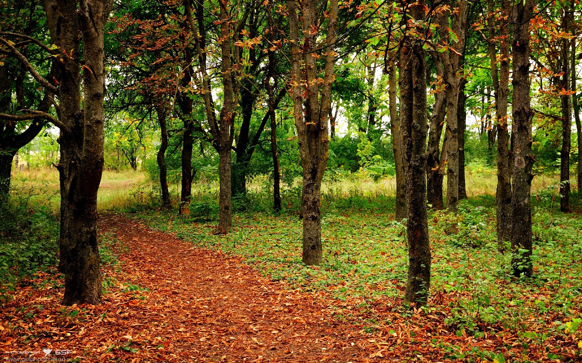 中国足球球队管理团队结构调研,中国足球组织架构