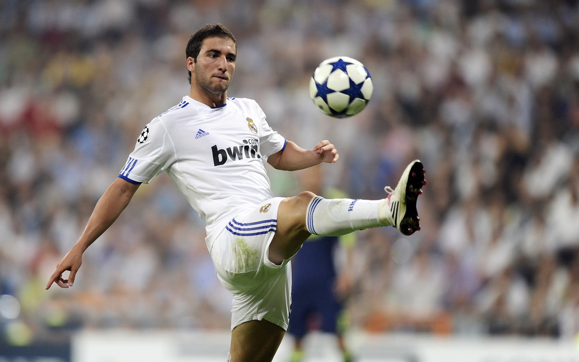 体育赛事IP开发与青少年观众品牌认同路径研究,体育赛事品牌打造