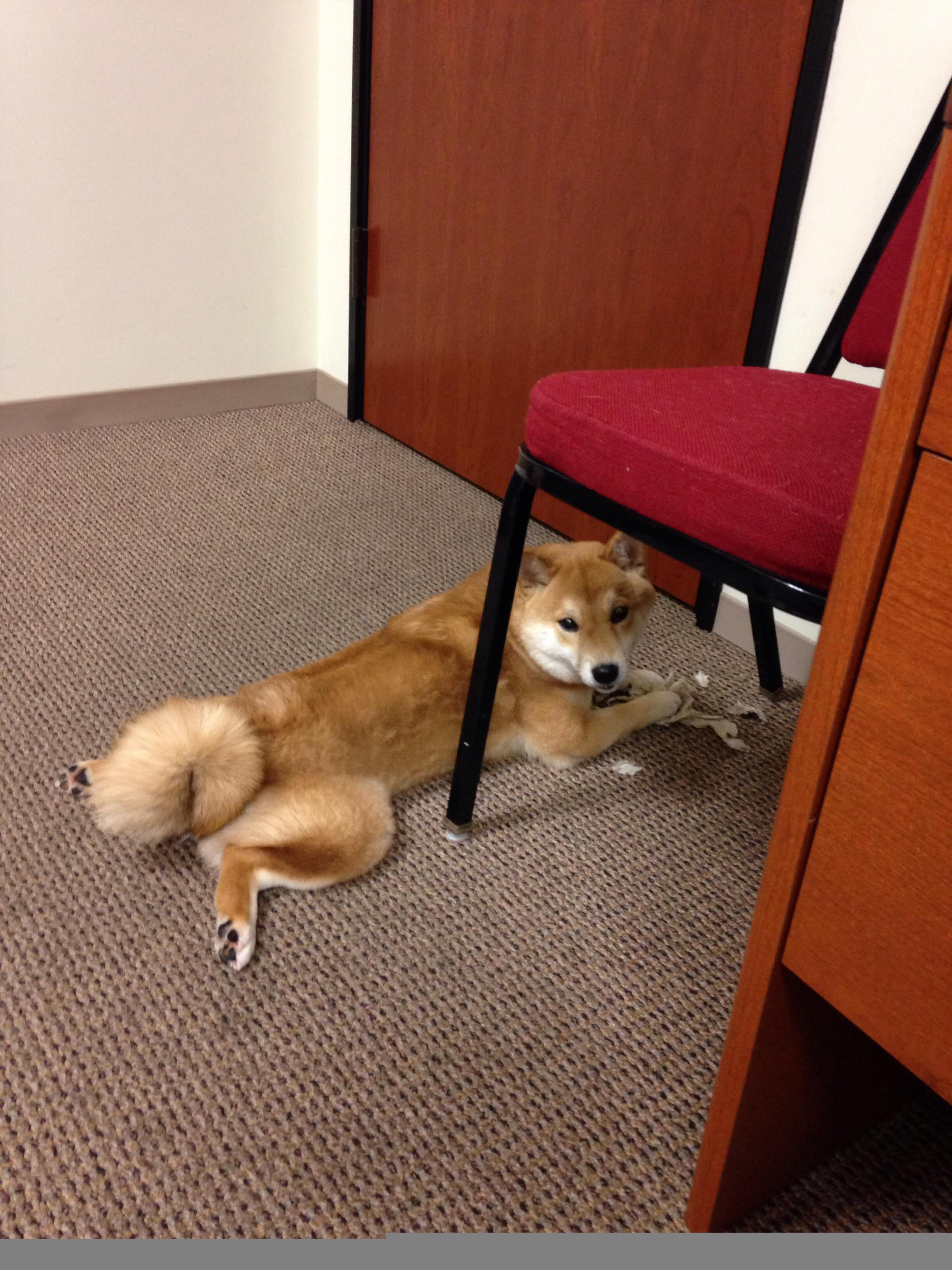 九游娱乐APP-国足热身赛攻防表现研究，国足热身赛阵容