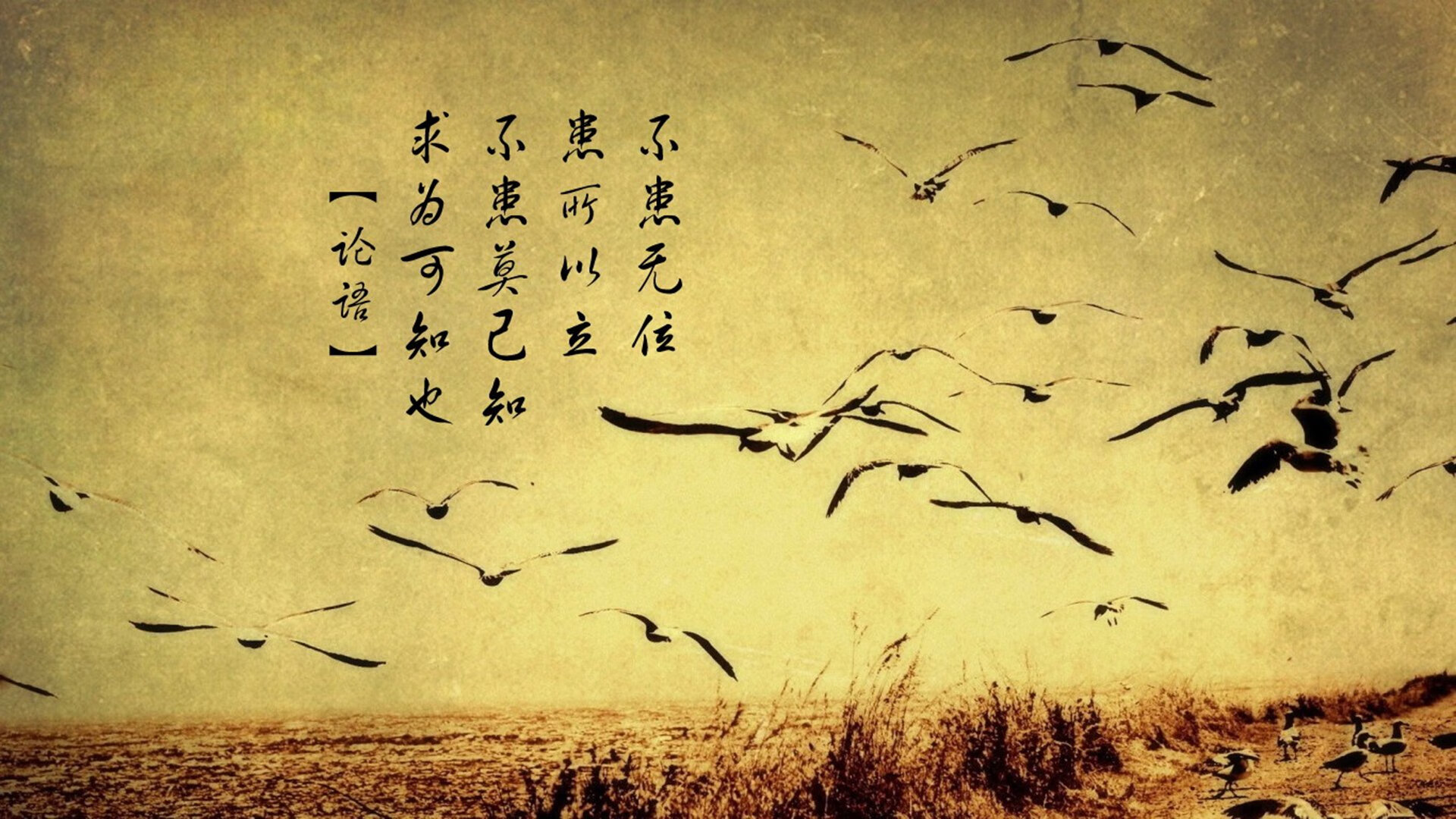 法甲赞助商区域投放精准营销效果研究,法甲联赛赞助商