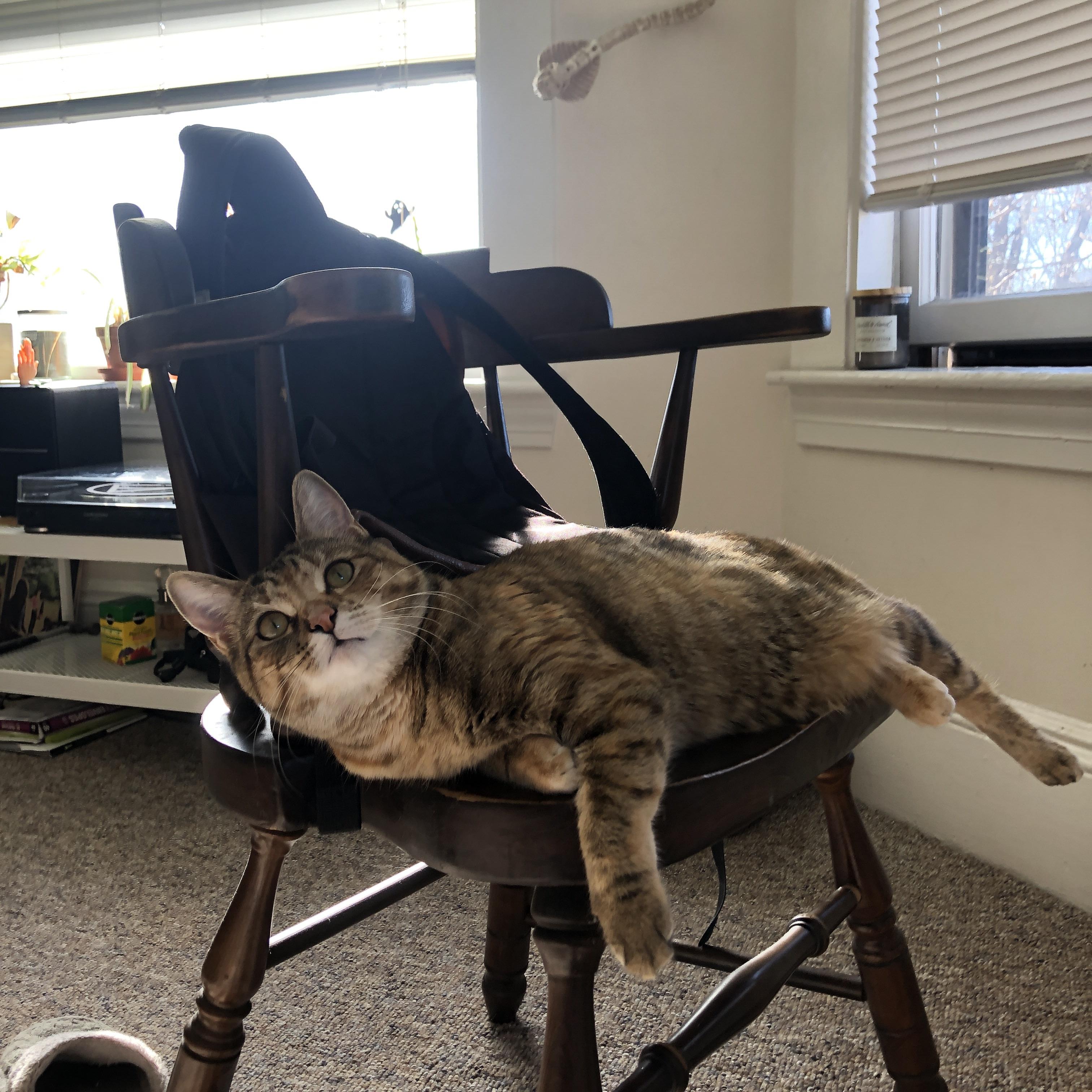 篮球运动员专项技术动作规范培训,篮球运动员基础训练