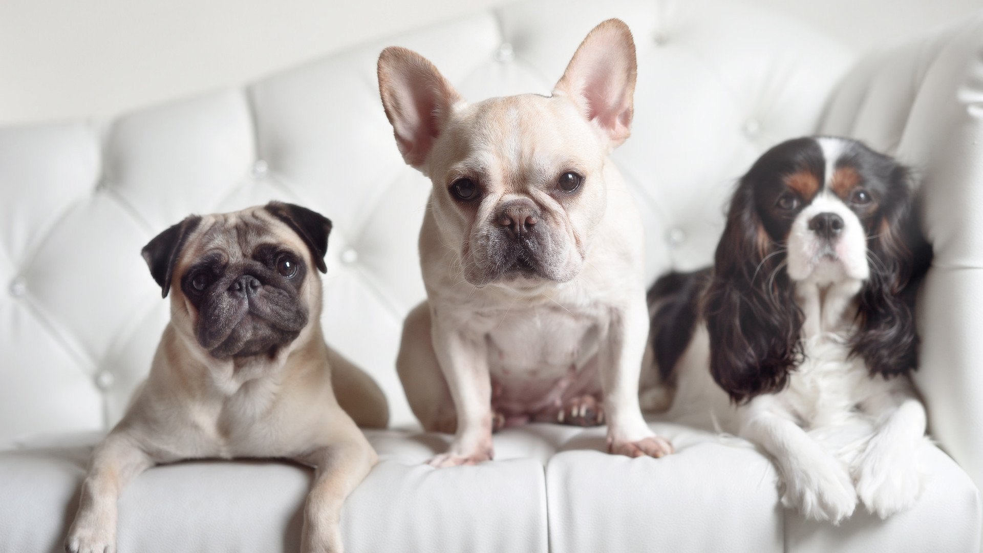 九游娱乐-HU Jinqiu当选CBA常规赛MVP引领球队冲锋，cba总决赛mvp为什么是胡明轩