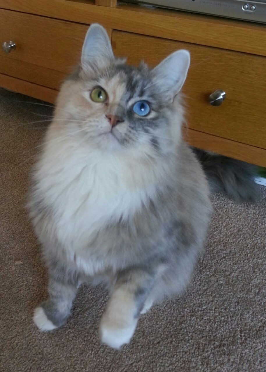 U23国足出战奥预赛 表现亮眼引发热议,u23奥运足球预选赛