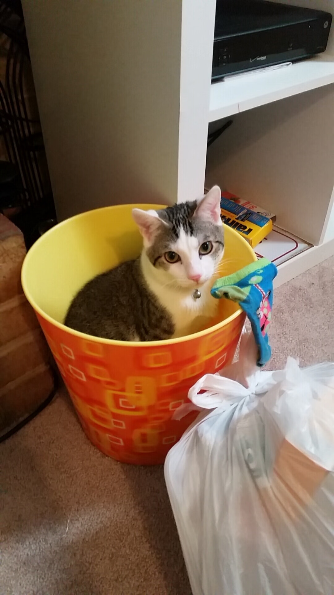 中国九游体育-中国女篮新援融入迅速 球队战斗力增强，中国女篮阵容