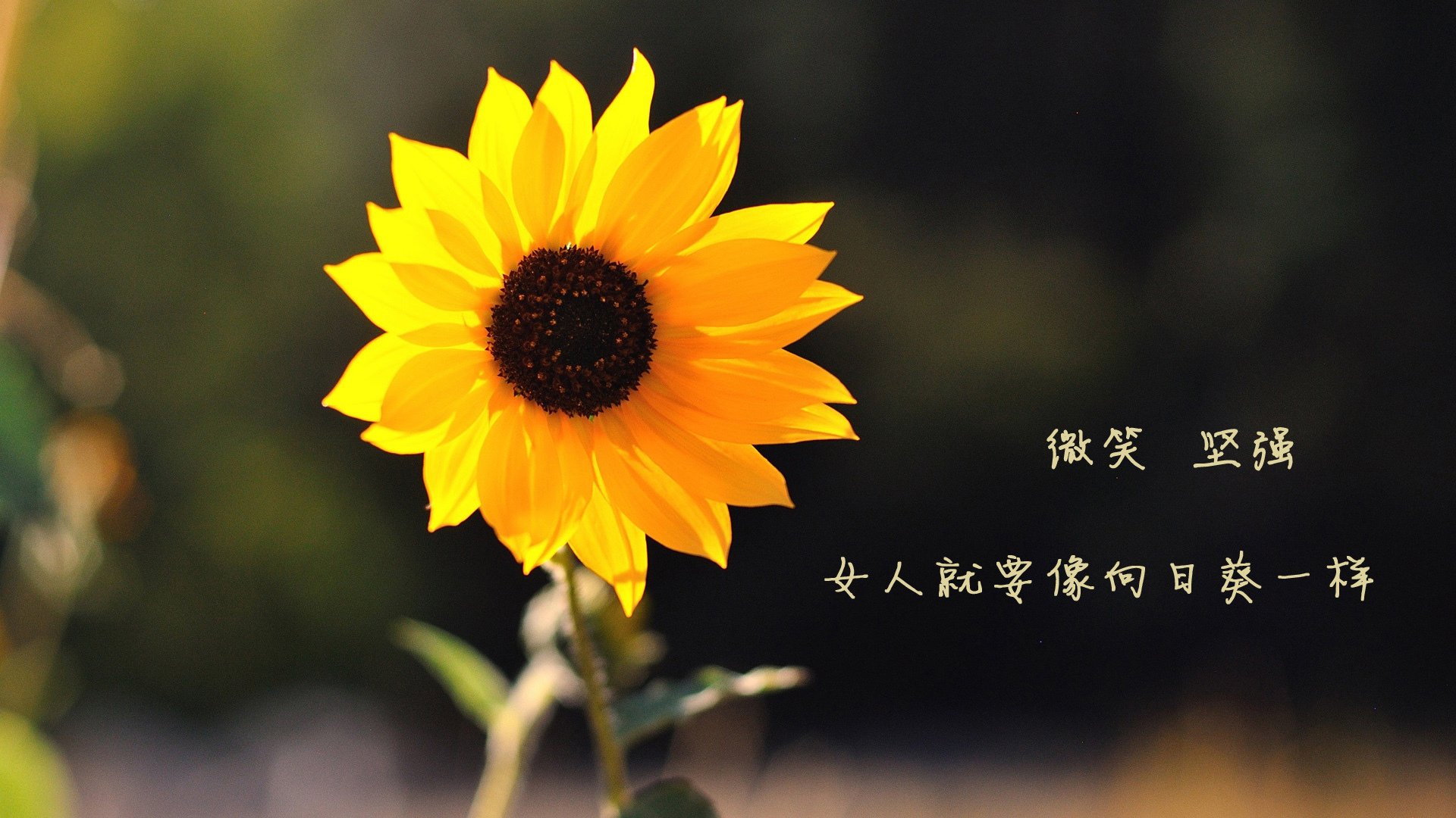 九游体育娱乐-中超联赛中国青年队爆冷 球迷反思青训体系，中超青年csly