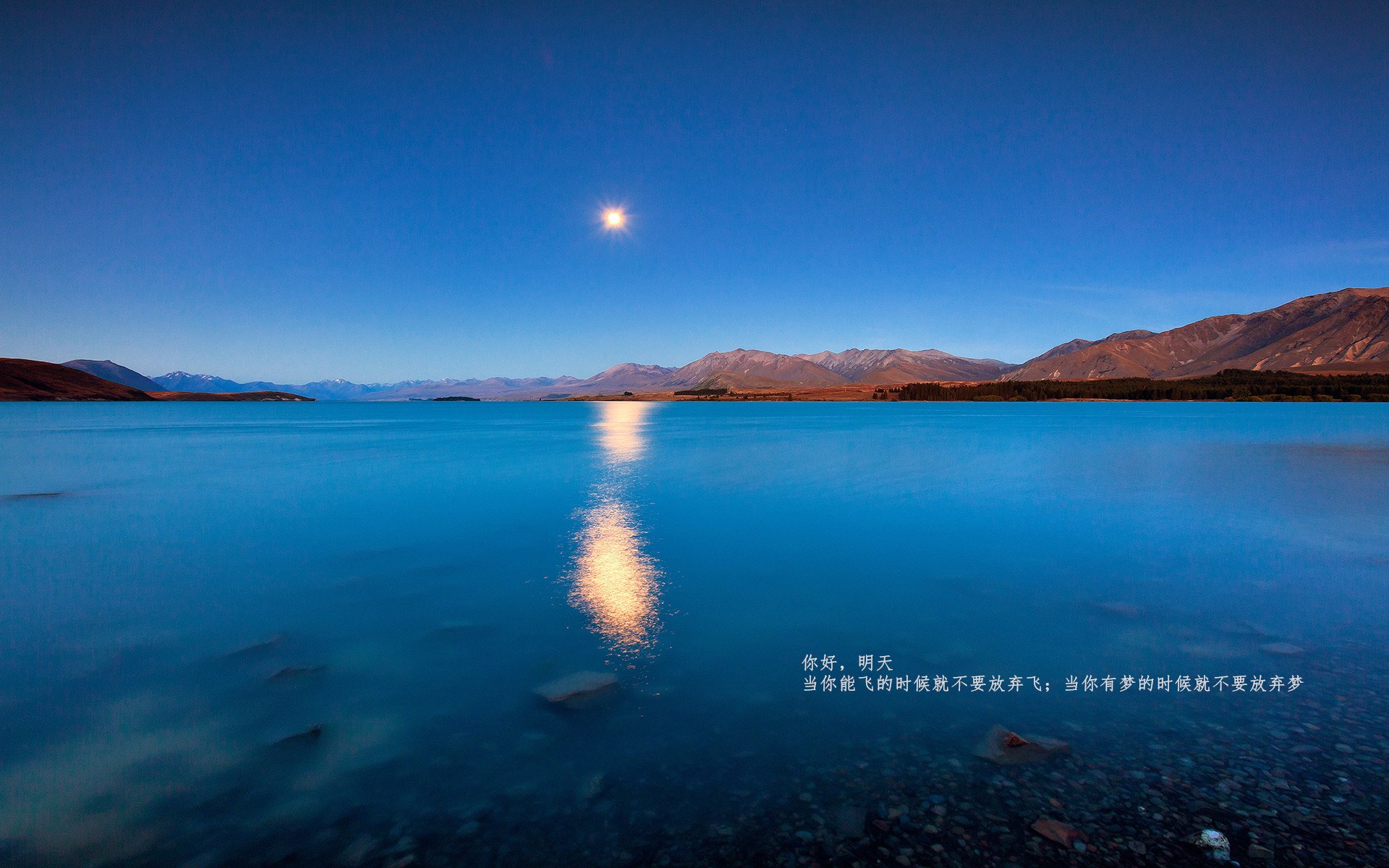 九游体育-体育新闻中心深化体育媒体与科技公司战略合作，体育市场媒体